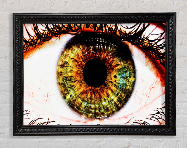 Big Eye Framed Print