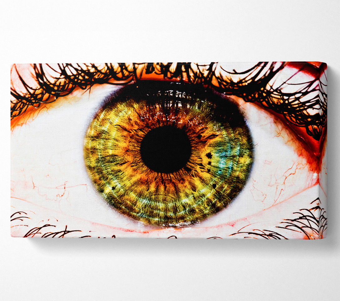  A Canvas Print of Big Eye Canvas Print