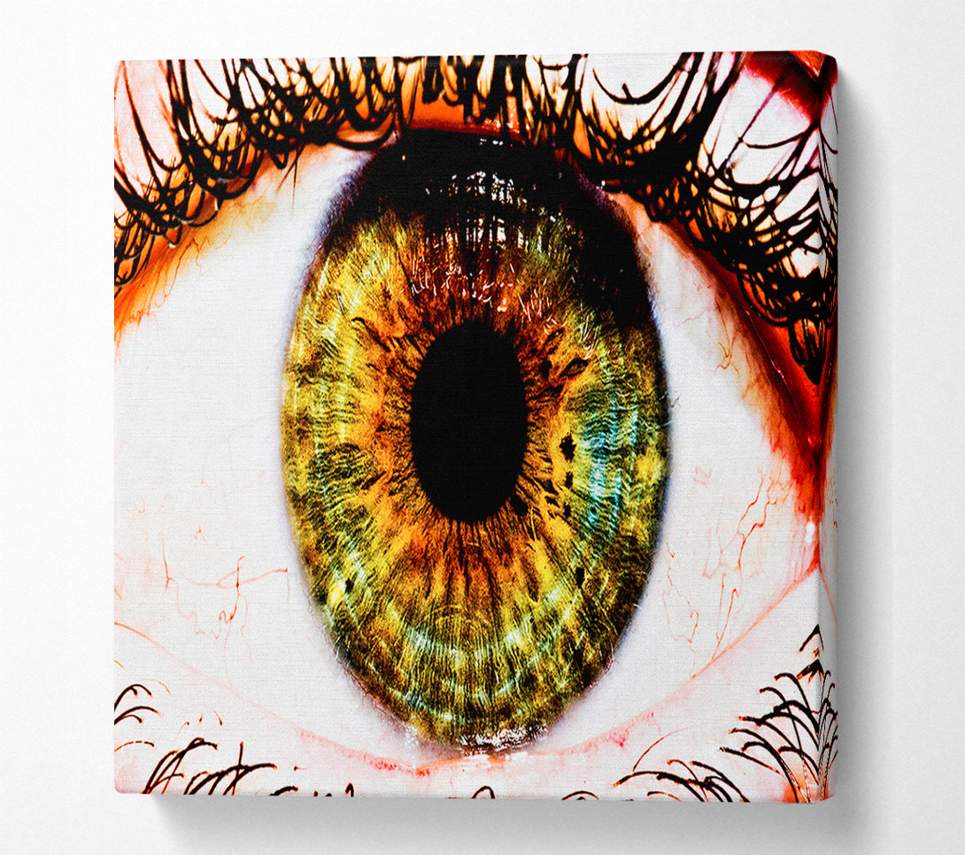  A Canvas Print of Big Eye Canvas Print