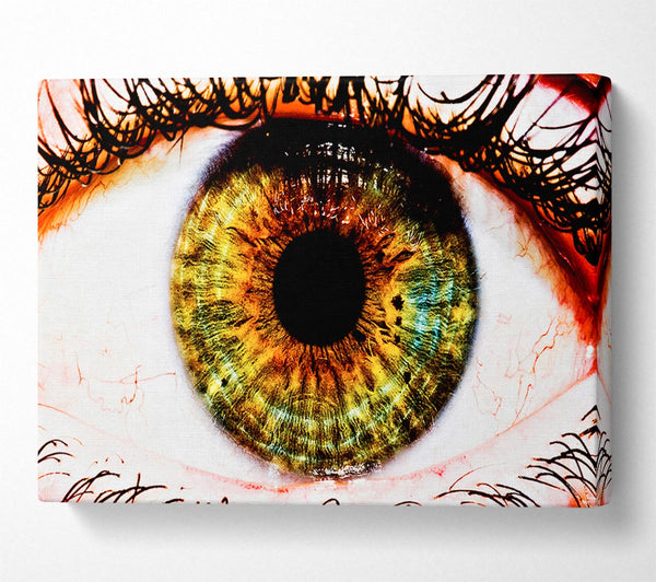  A Canvas Print of Big Eye Canvas Print