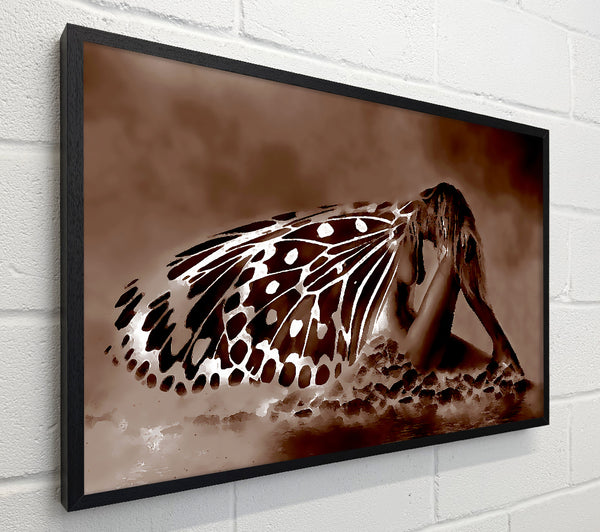 Chocolate Butterfly Landing