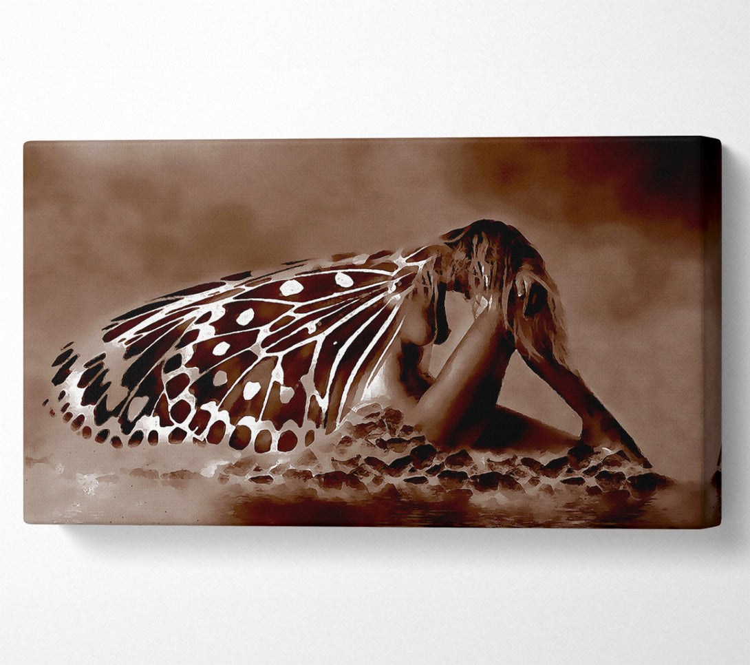  A Canvas Print of Chocolate Butterfly Landing Canvas Print