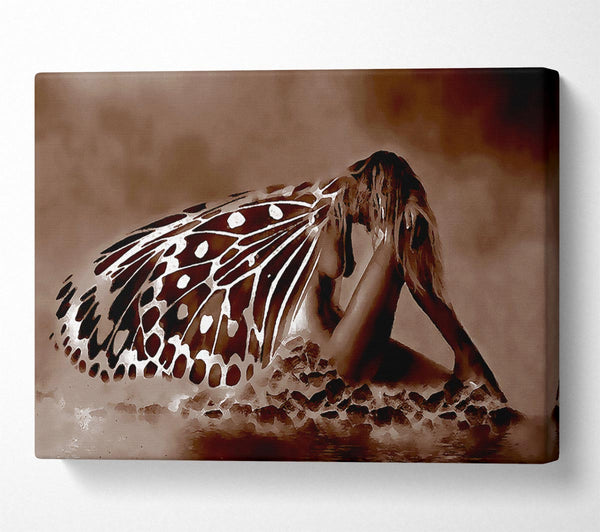  A Canvas Print of Chocolate Butterfly Landing Canvas Print