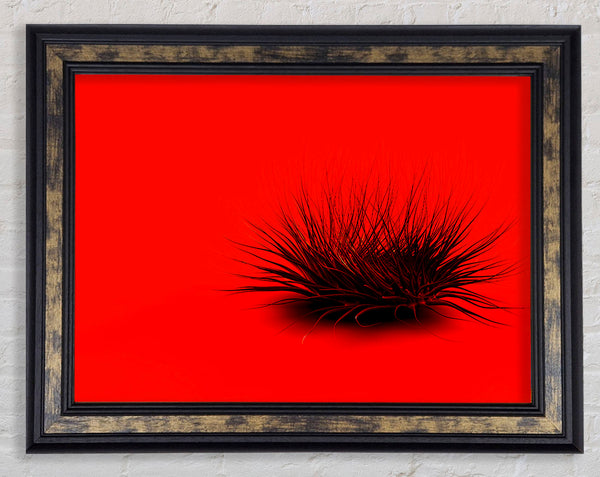 The Little Red Thing Framed Print