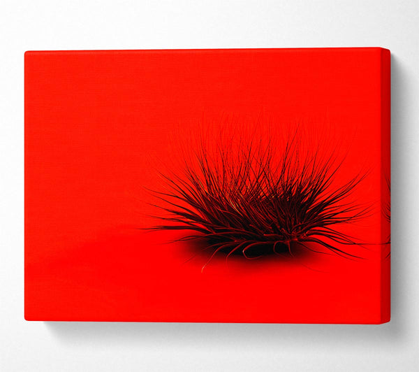  A Canvas Print of The Little Red Thing Canvas Art
