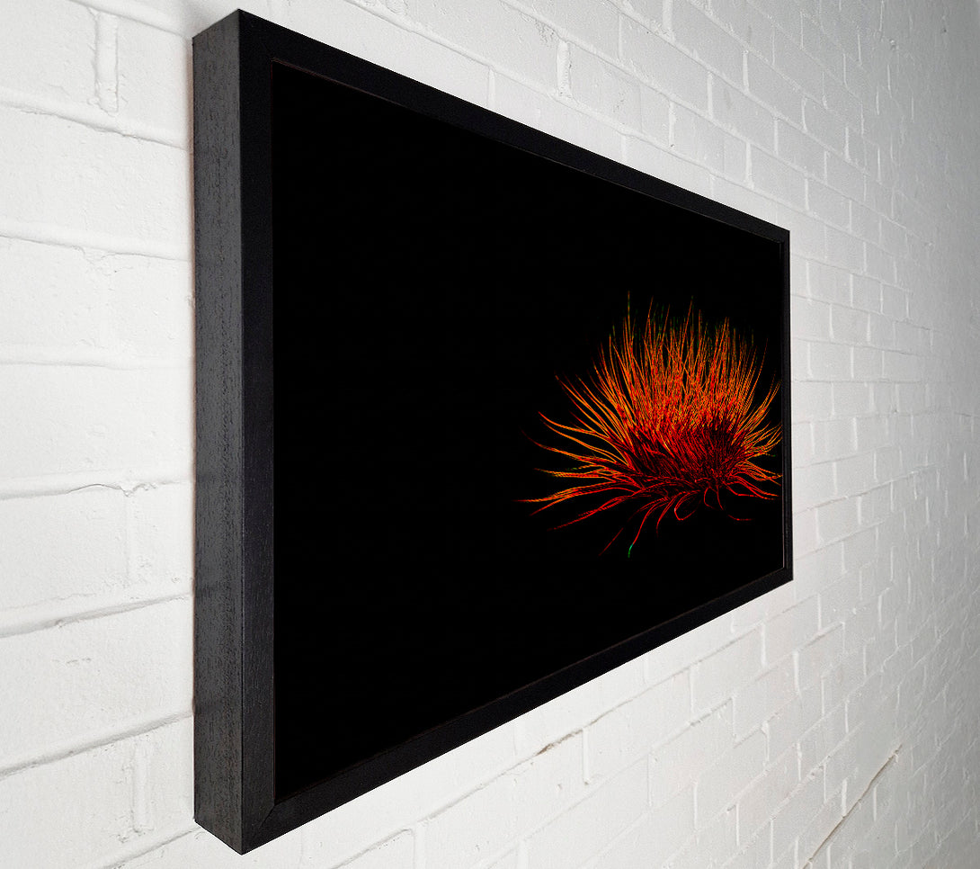  A Canvas Print of Red Thing Canvas Print