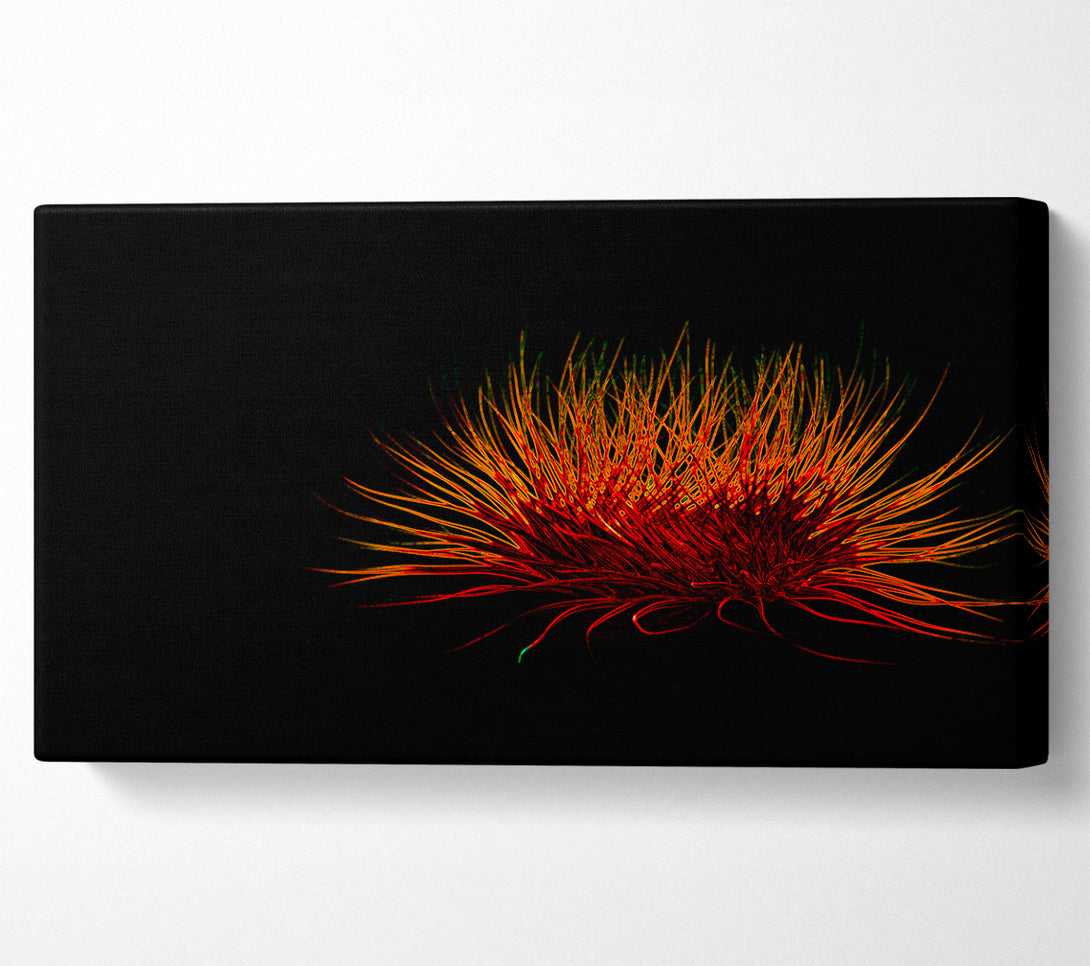  A Canvas Print of Red Thing Canvas Print