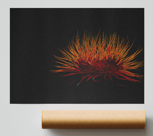 Red Thing Giclee Print