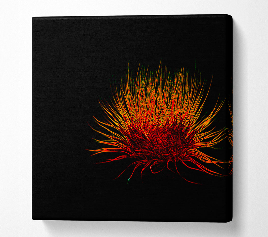  A Canvas Print of Red Thing Canvas Print
