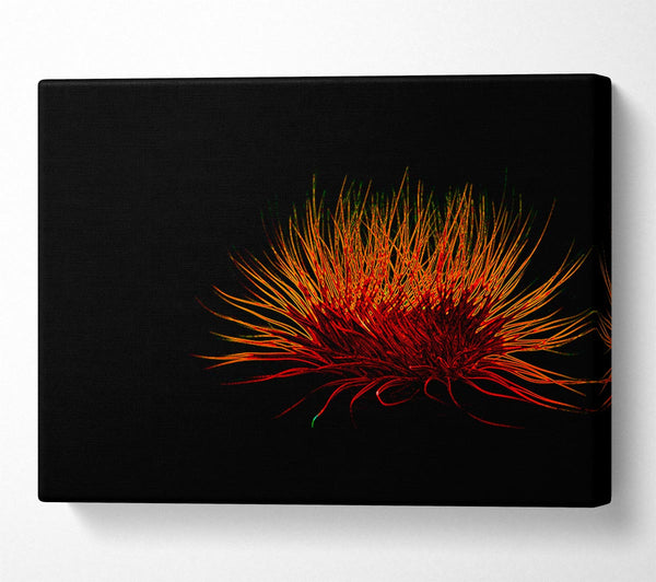  A Canvas Print of Red Thing Canvas Print