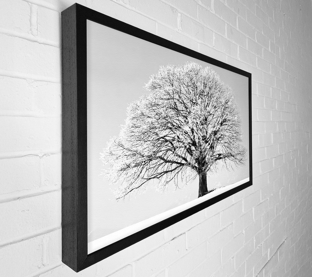  A Canvas Print of Winter Snow Tree B n W Canvas Art