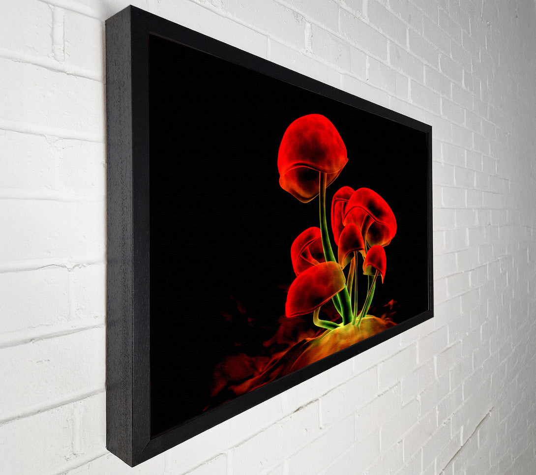  A Canvas Print of Red Magic Mushrooms Canvas Print