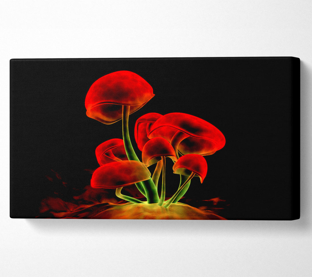  A Canvas Print of Red Magic Mushrooms Canvas Print