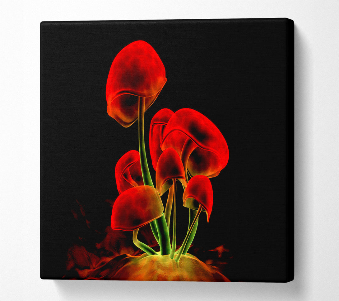  A Canvas Print of Red Magic Mushrooms Canvas Print