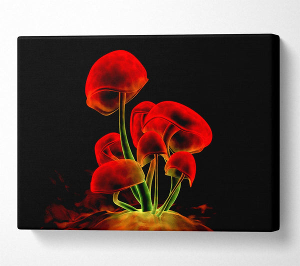  A Canvas Print of Red Magic Mushrooms Canvas Print