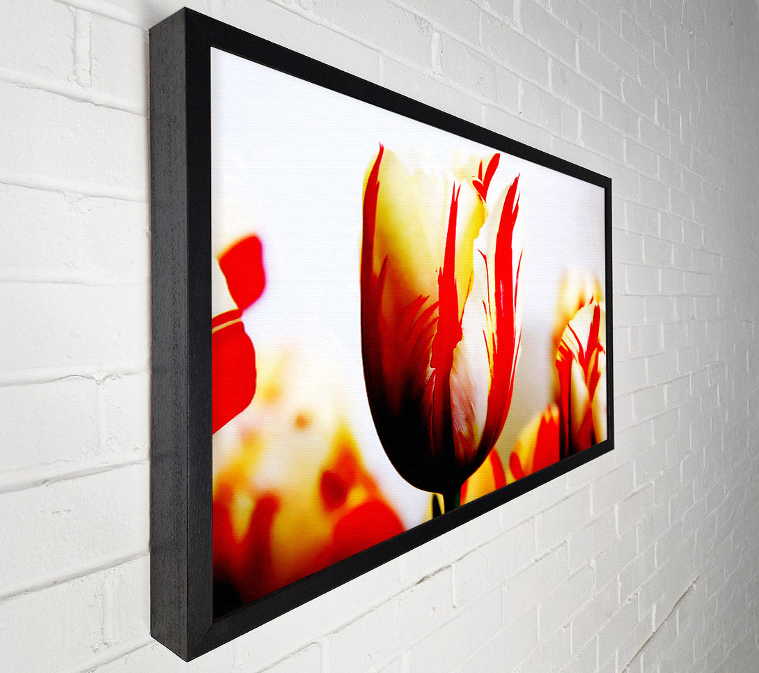  A Canvas Print of Tulip Heads Canvas Wall Art