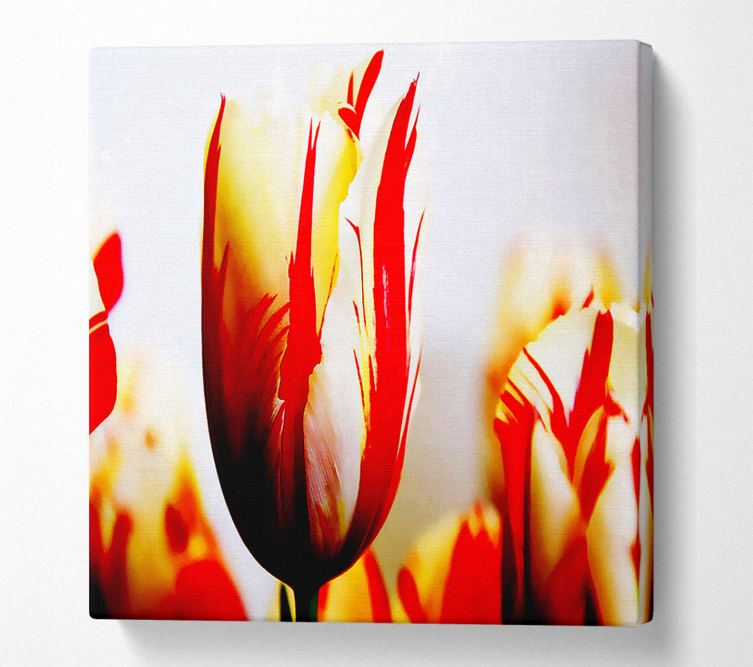  A Canvas Print of Tulip Heads Canvas Wall Art