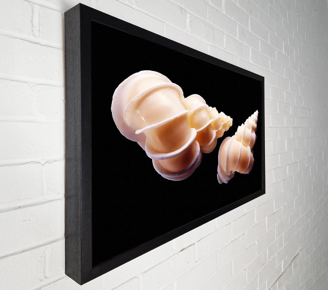  A Canvas Print of Beautiful Shell Duo Canvas Wall Art