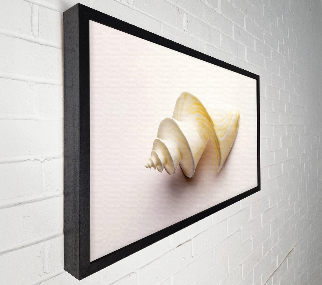  A Canvas Print of Stunning White Shell Canvas Print