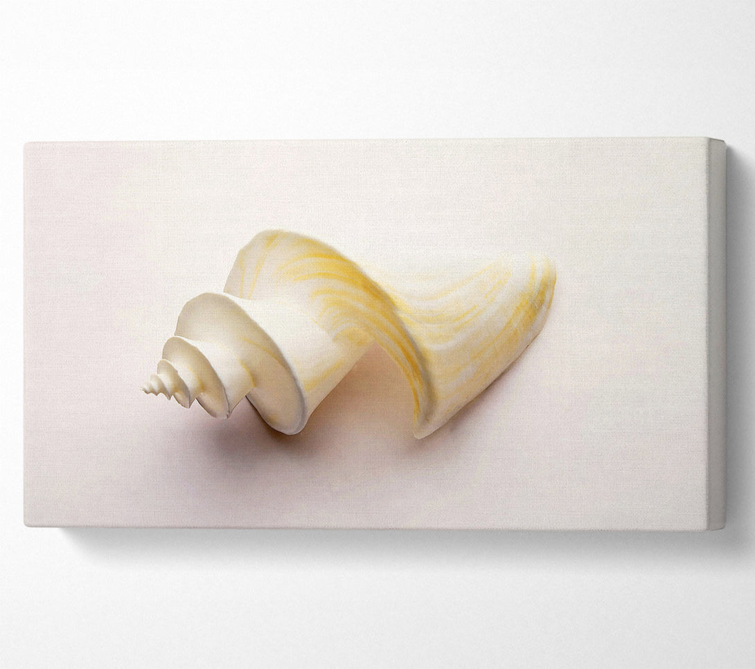  A Canvas Print of Stunning White Shell Canvas Print