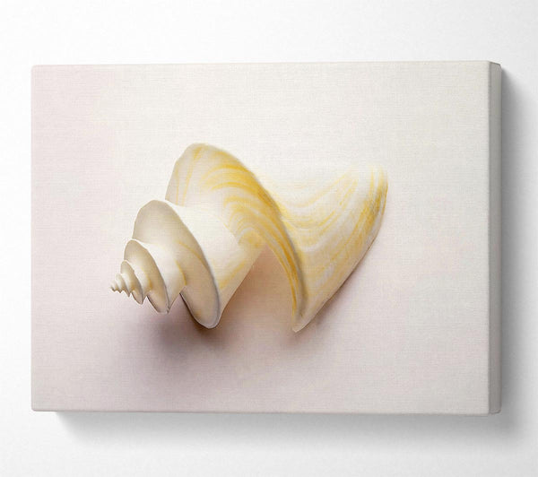  A Canvas Print of Stunning White Shell Canvas Print