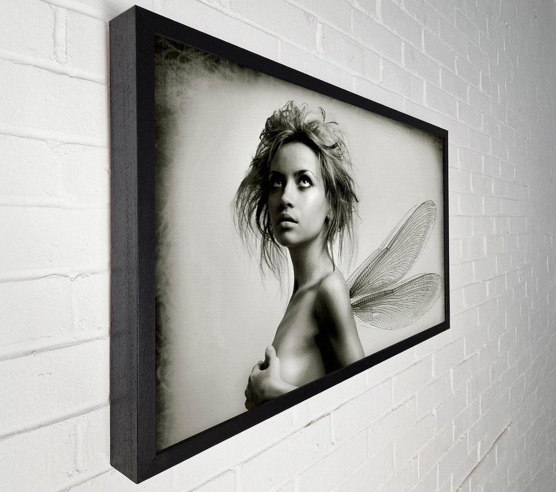  A Canvas Print of Exotic Fairy Wings Close-up Canvas Wall Art