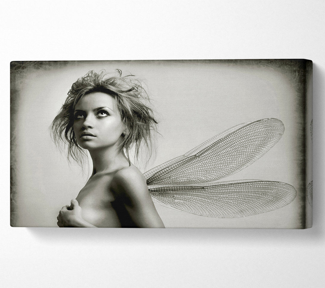  A Canvas Print of Exotic Fairy Wings Close-up Canvas Wall Art