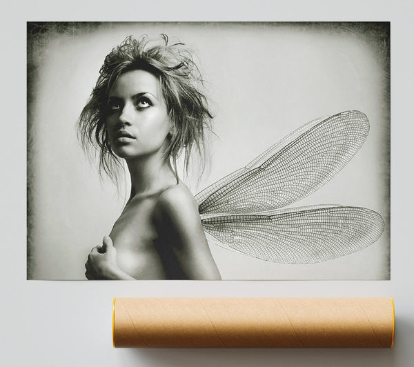 Exotic Fairy Wings Close-Up Giclee Print