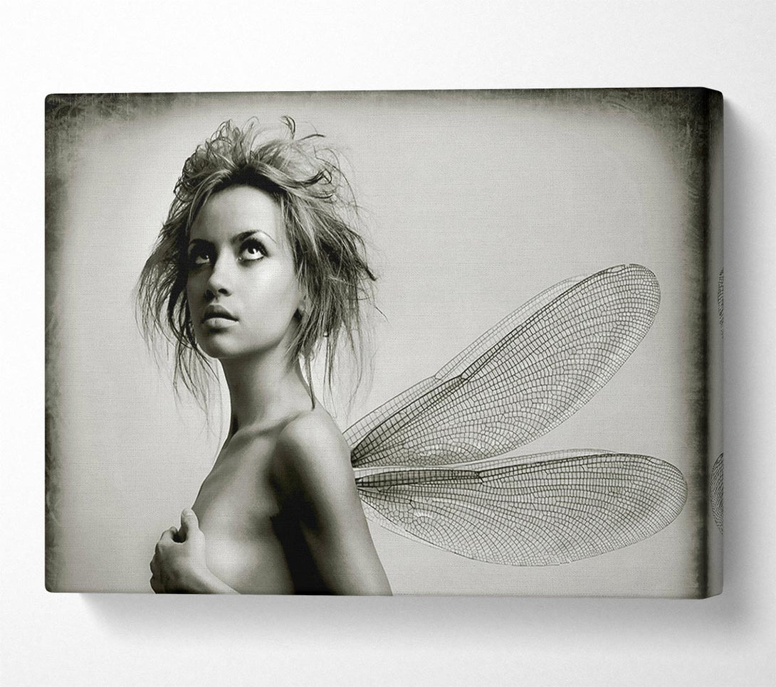  A Canvas Print of Exotic Fairy Wings Close-up Canvas Wall Art