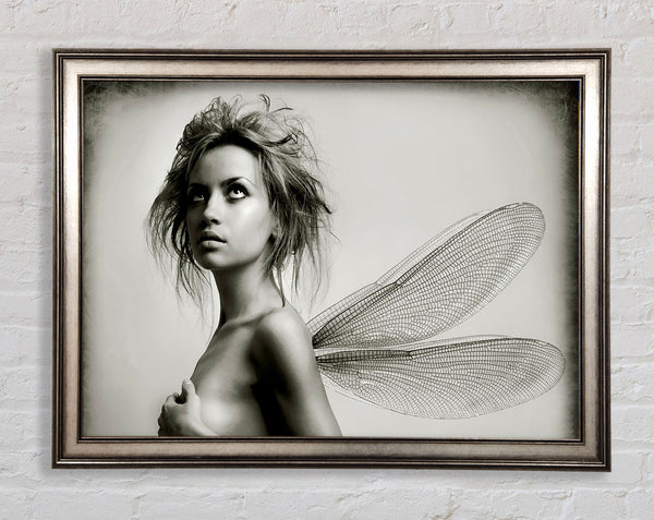 Exotic Fairy Wings Close-up Framed Print