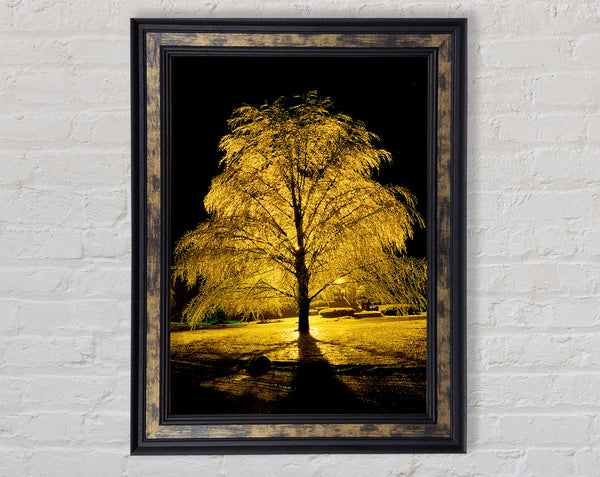 The Golden Tree Framed Print