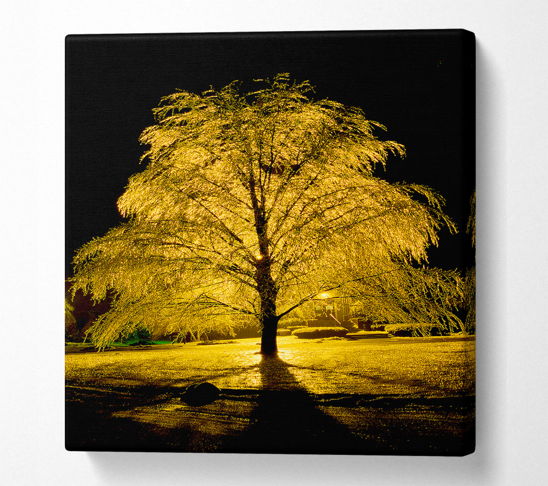  A Canvas Print of The Golden Tree Canvas Print