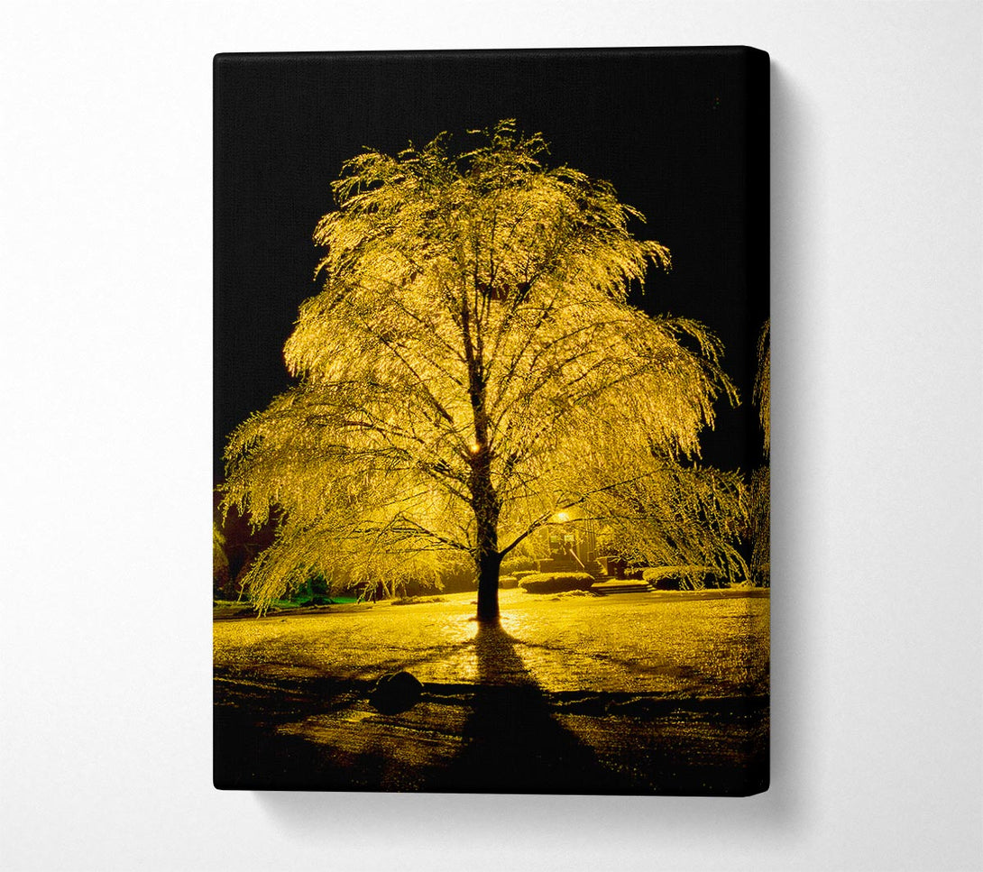  A Canvas Print of The Golden Tree Canvas Print