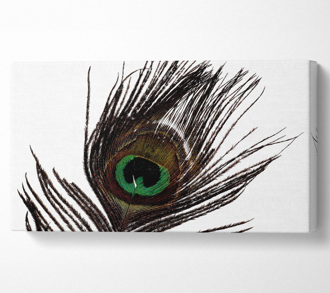  A Canvas Print of Peacock Eye Feather Canvas Art
