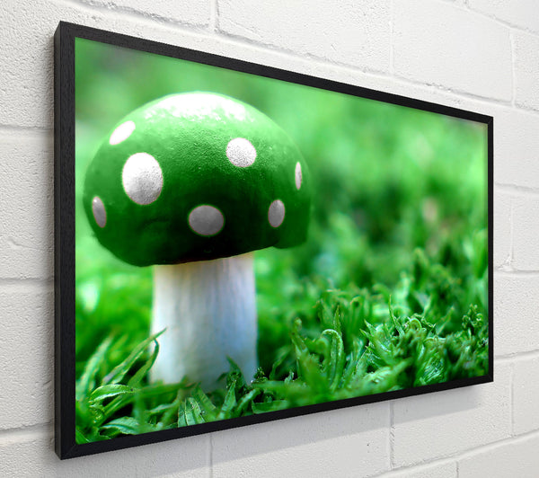 Green Mushroom