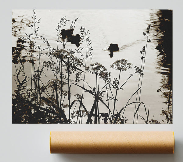 Chocolate Lake Print