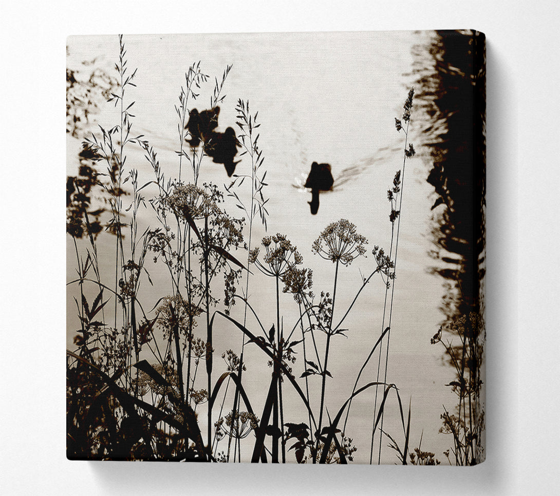  A Canvas Print of Chocolate Lake Canvas Wall Art