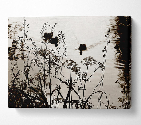  A Canvas Print of Chocolate Lake Canvas Wall Art