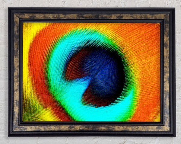 Peacock Feather Eye Close-Up Framed Print