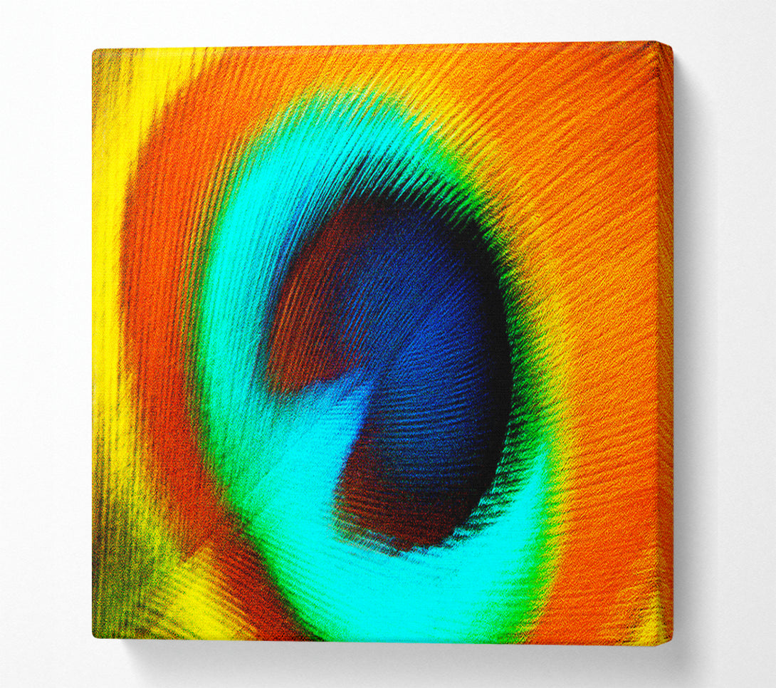  A Canvas Print of Peacock Feather Eye Close-Up Canvas Wall Art