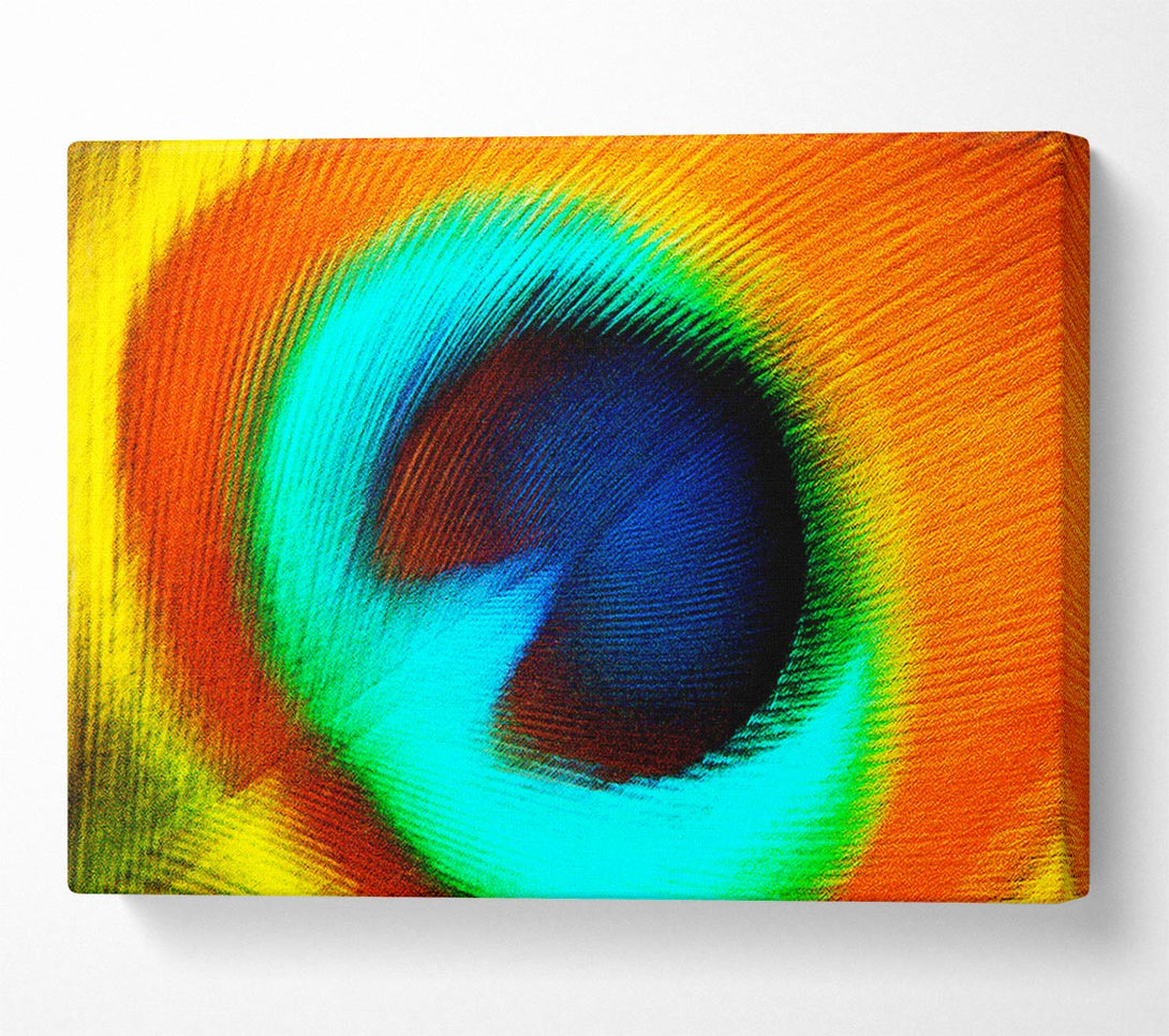  A Canvas Print of Peacock Feather Eye Close-Up Canvas Wall Art