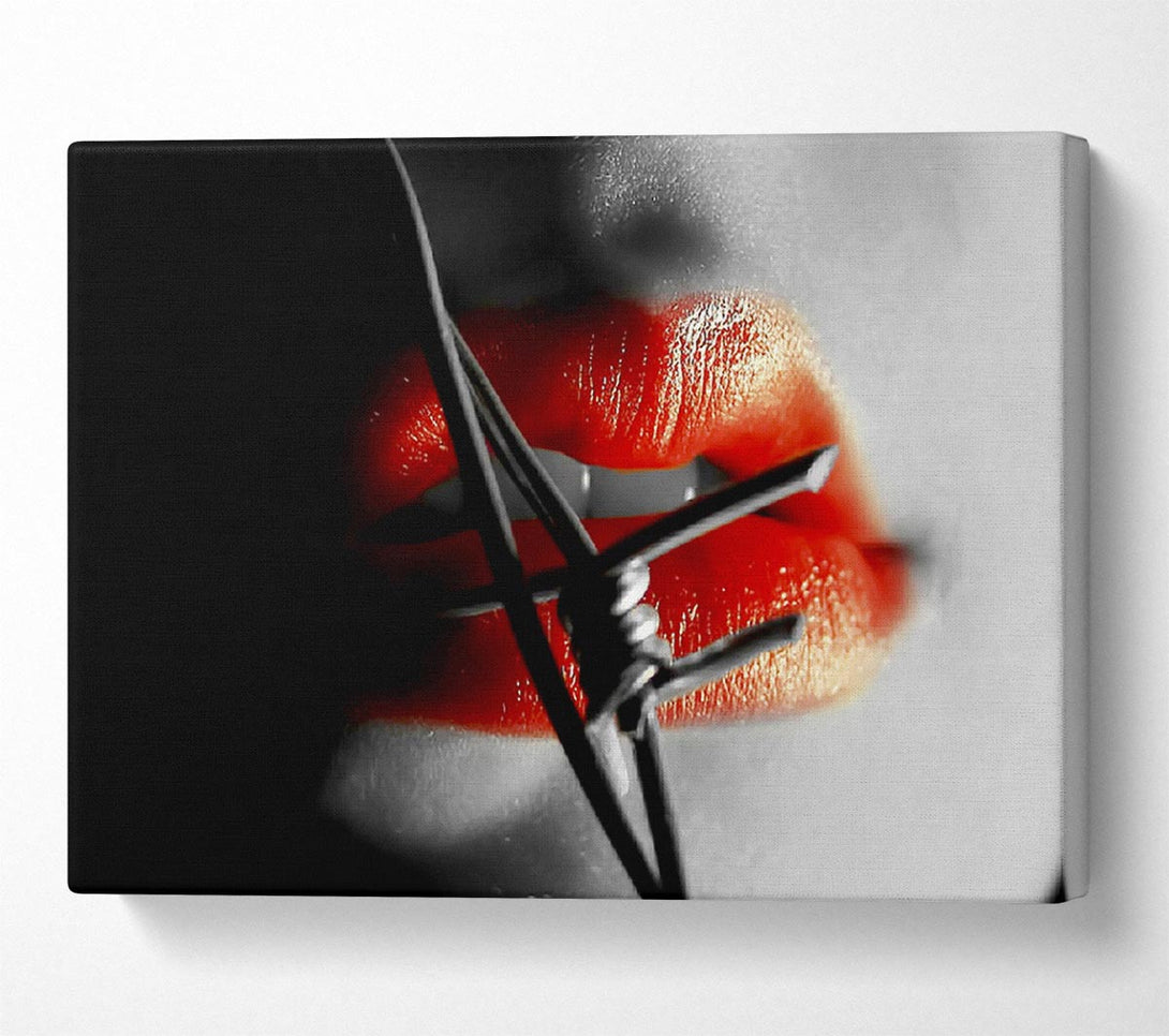  A Canvas Print of Barbed Wire Lips Canvas Art