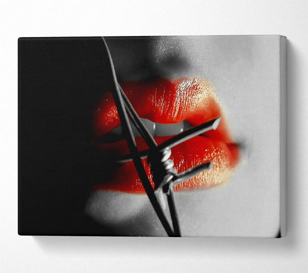  A Canvas Print of Barbed Wire Lips Canvas Art