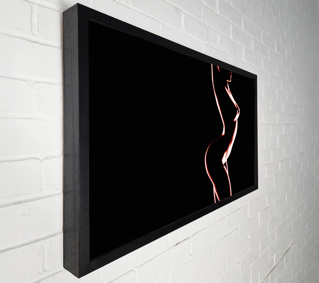  A Canvas Print of Red Body Canvas Print