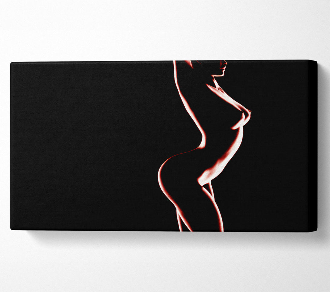  A Canvas Print of Red Body Canvas Print