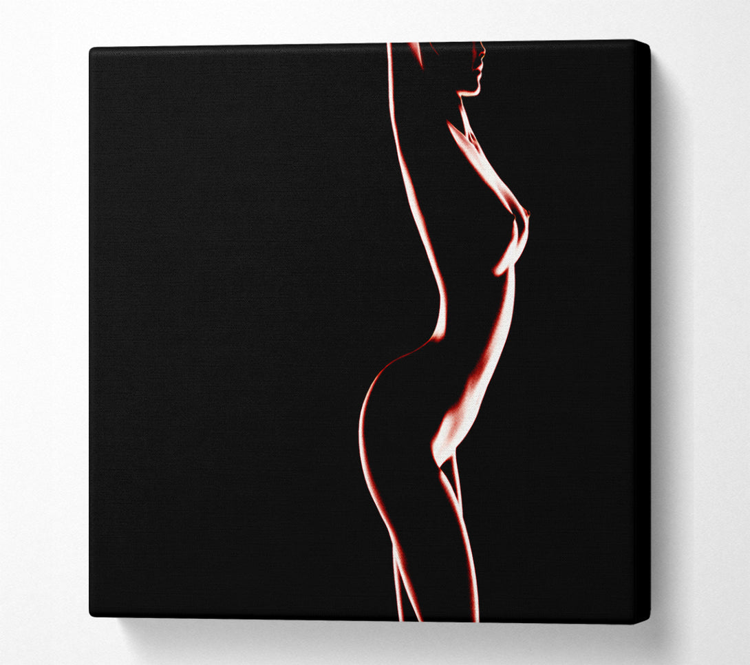  A Canvas Print of Red Body Canvas Print