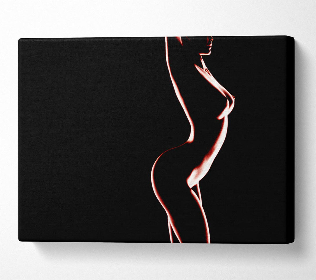  A Canvas Print of Red Body Canvas Print