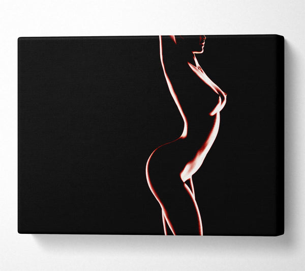  A Canvas Print of Red Body Canvas Print