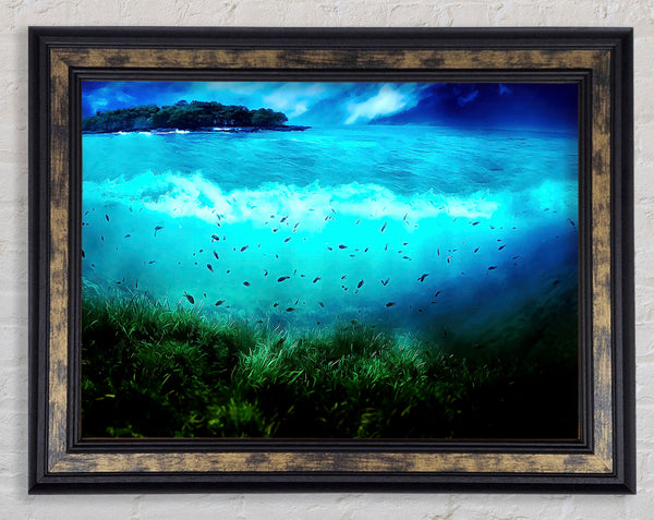 World Of Sea Framed Print