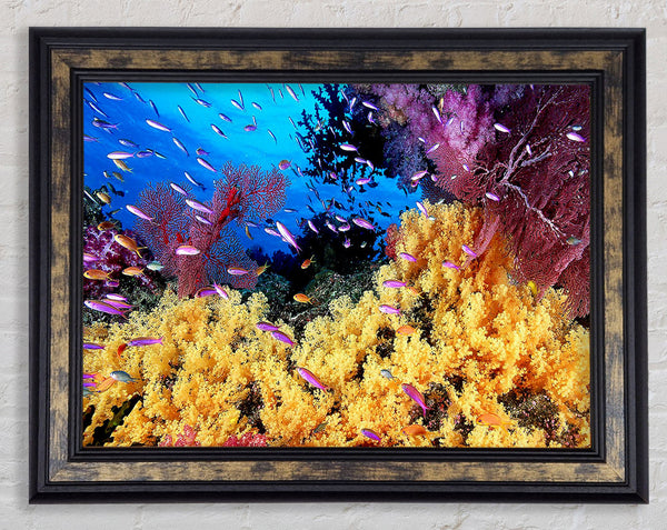 The Oceans Colour Framed Print